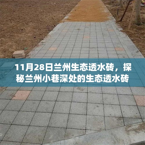 探秘兰州小巷深处的生态透水砖秘境，一家特色小店的非凡之旅