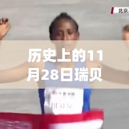 历史上的11月28日瑞贝卡股票最新消息深度解析与探讨