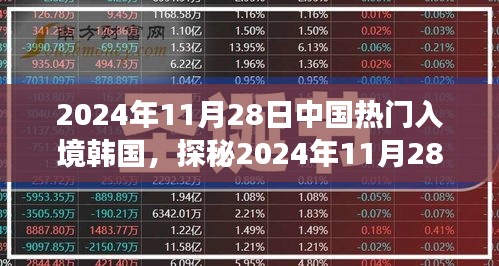 中国热门入境韩国美食探秘之旅，揭秘巷弄隐秘美食天堂的奥秘（2024年11月28日）