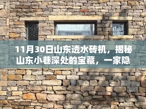 揭秘山东小巷深处的宝藏，专业透水砖机店探访记