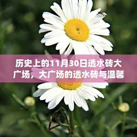 温馨日常与友谊的见证，透水砖大广场的故事