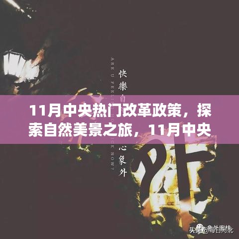 11月中央改革政策引领自然美景探索之旅