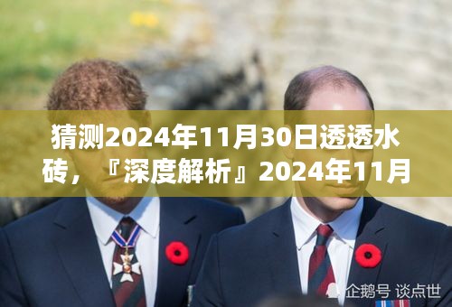 『深度解析』2024年11月30日透透水砖，特性、体验、竞品对比及用户群体全面剖析