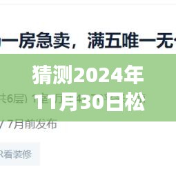 松湖朗悦未来展望，揭秘热门消息，开启新篇章，学习成就梦想之舟的预见之旅（2024年11月30日）