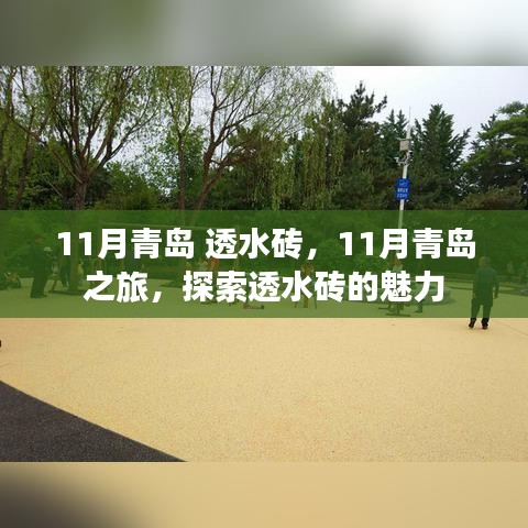探索青岛透水砖的魅力，十一月之旅