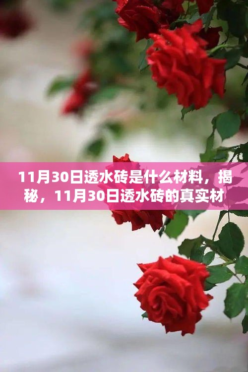 揭秘，透水砖的真实材料构成解析（时间，11月30日）