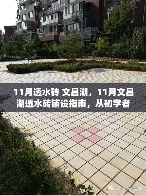 产品中心 第519页
