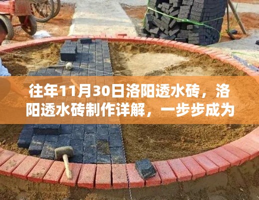 洛阳透水砖制作详解，一步步引领你成为行业专家（初学者与进阶用户适用）