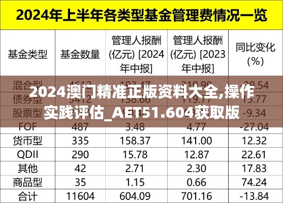 2024澳门精准正版资料大全,操作实践评估_AET51.604获取版