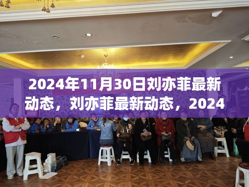 2024年11月30日观察刘亦菲，最新动态与思考