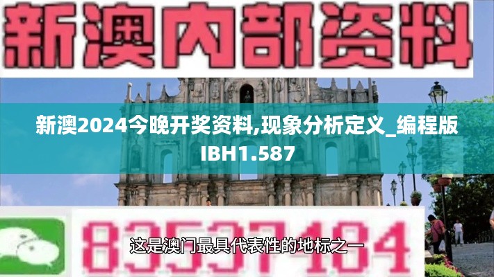 新澳2024今晚开奖资料,现象分析定义_编程版IBH1.587