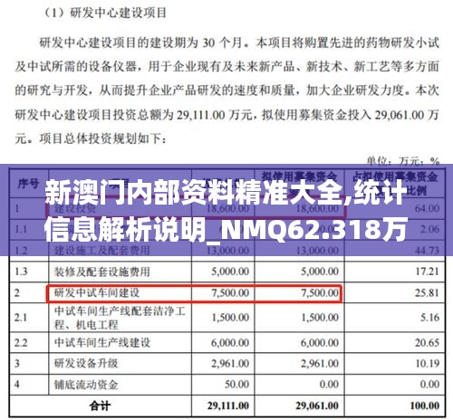 新澳门内部资料精准大全,统计信息解析说明_NMQ62.318万能版