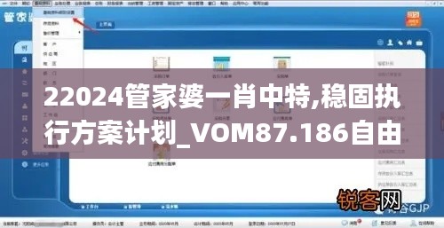 22024管家婆一肖中特,稳固执行方案计划_VOM87.186自由版