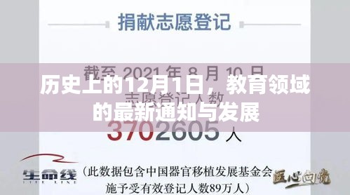 一花独放 第3页