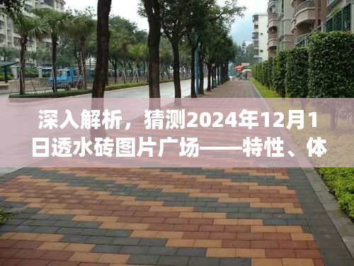 揭秘2024年透水砖图片广场，特性、体验、竞品对比及用户群体深度解析