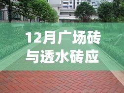 12月广场砖与透水砖的应用，优劣分析与个人观点