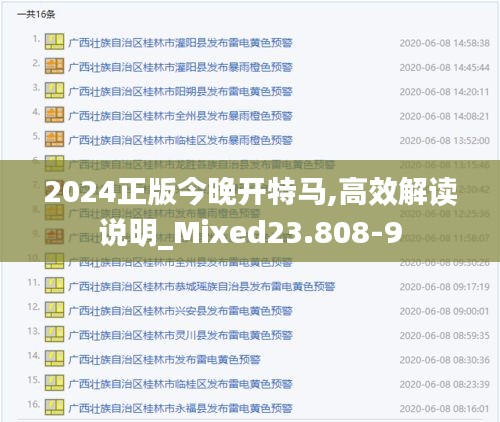 2024正版今晚开特马,高效解读说明_Mixed23.808-9