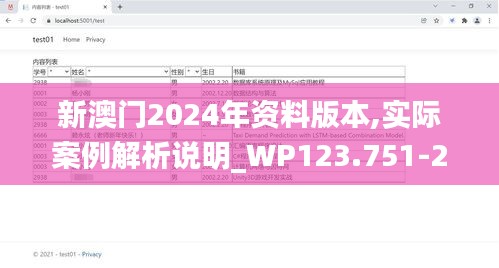 新澳门2024年资料版本,实际案例解析说明_WP123.751-2