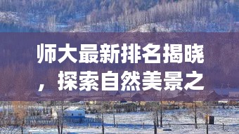昙花一现 第3页