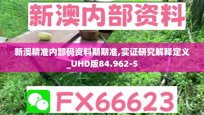 新澳精准内部码资料期期准,实证研究解释定义_UHD版84.962-5