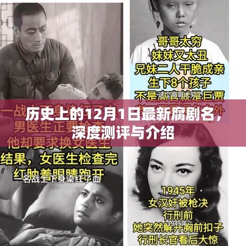 12月1日新腐剧深度测评与介绍，历史背景下的最新剧名揭秘