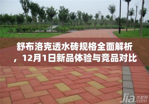 正襟危坐 第3页
