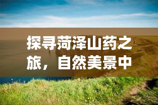 比张比李 第3页