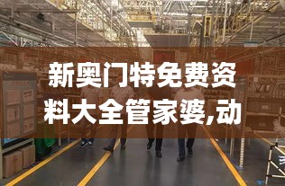 新奥门特免费资料大全管家婆,动态调整策略执行_苹果款171.682-9
