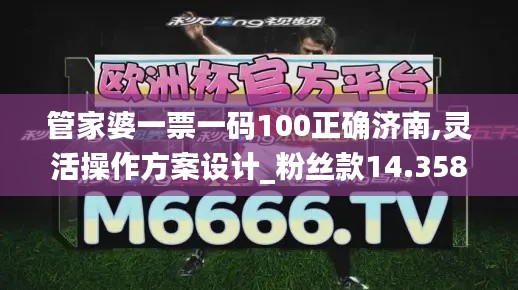 管家婆一票一码100正确济南,灵活操作方案设计_粉丝款14.358-1