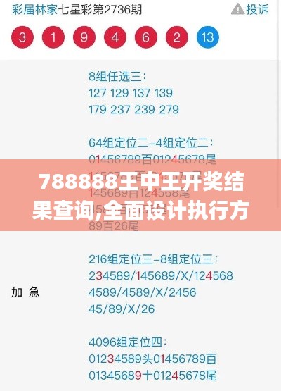 788888王中王开奖结果查询,全面设计执行方案_精装版45.877-1
