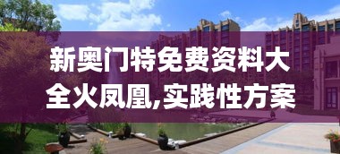 新奥门特免费资料大全火凤凰,实践性方案设计_P版93.291-6