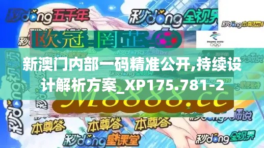 新澳门内部一码精准公开,持续设计解析方案_XP175.781-2