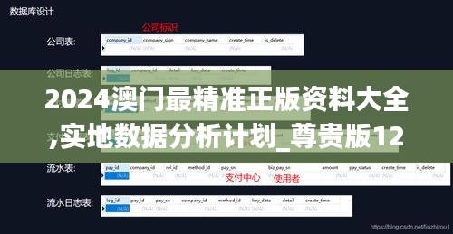 2024澳门最精准正版资料大全,实地数据分析计划_尊贵版12.233-6