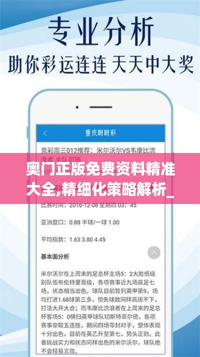 奥门正版免费资料精准大全,精细化策略解析_复刻版5.730-8