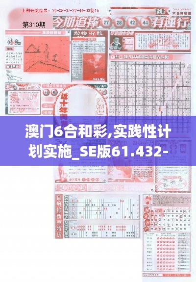 澳门6合和彩,实践性计划实施_SE版61.432-6
