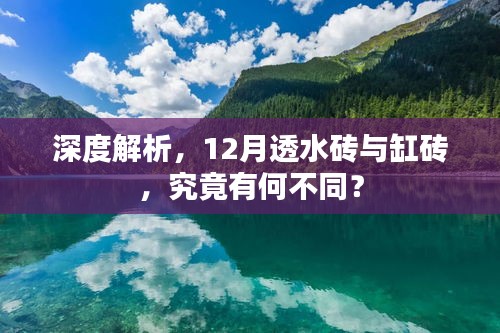 只争朝夕 第3页