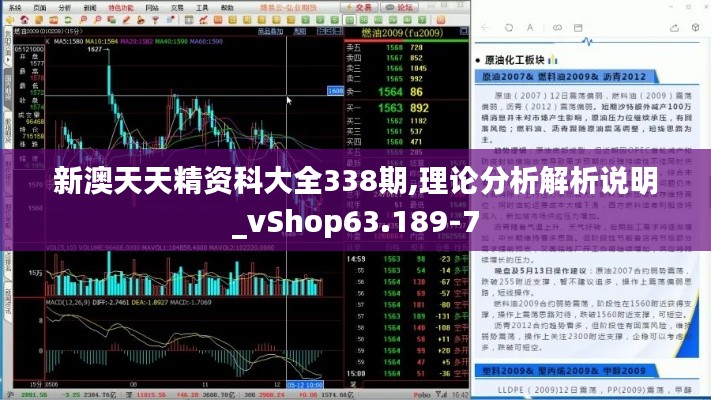 新澳天天精资科大全338期,理论分析解析说明_vShop63.189-7