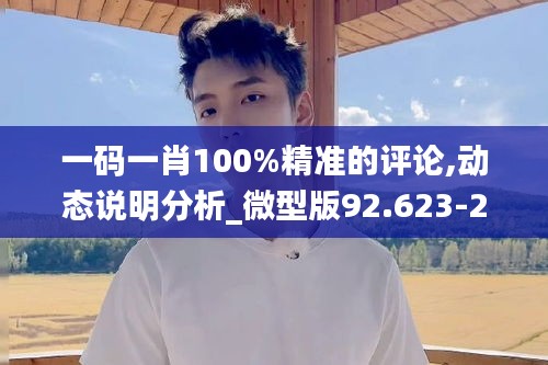 一码一肖100%精准的评论,动态说明分析_微型版92.623-2