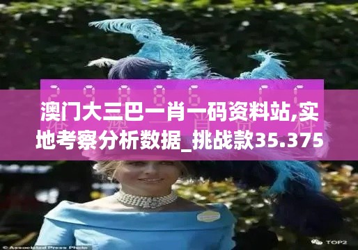 澳门大三巴一肖一码资料站,实地考察分析数据_挑战款35.375-7