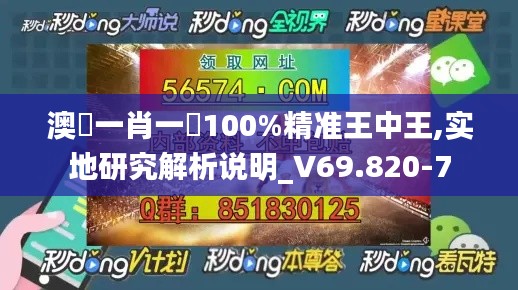 澳門一肖一碼100%精准王中王,实地研究解析说明_V69.820-7