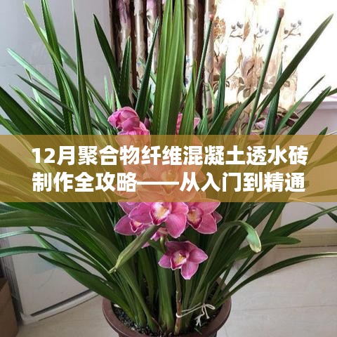 12月聚合物纤维混凝土透水砖制作指南，入门到精通全攻略