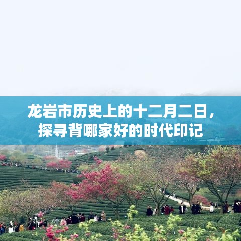 龙岩市十二月二日的历史印记，探寻时代变迁的印记
