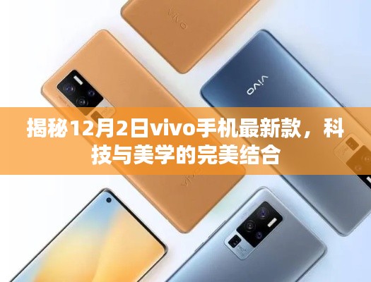 揭秘，vivo最新款手机——科技与美学的巅峰融合（12月2日版）