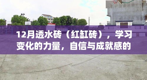 第1547页