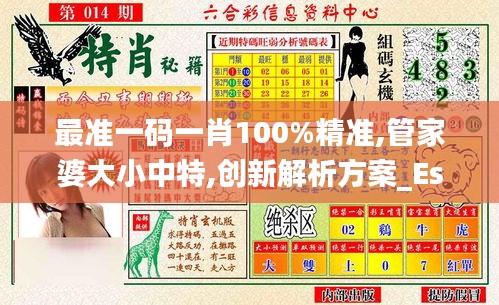最准一码一肖100%精准,管家婆大小中特,创新解析方案_Essential45.254-1