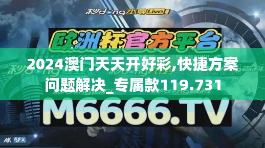 2024澳门天天开好彩,快捷方案问题解决_专属款119.731