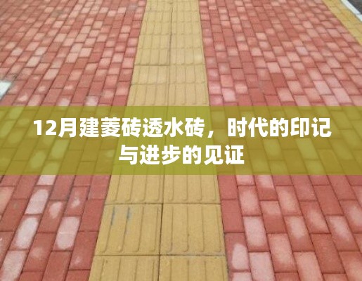 衣不曳地 第3页