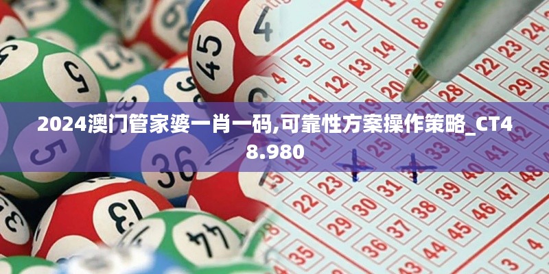 2024澳门管家婆一肖一码,可靠性方案操作策略_CT48.980