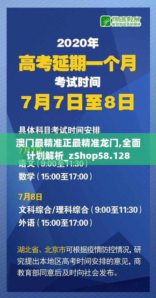 澳门最精准正最精准龙门,全面计划解析_zShop58.128