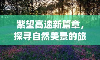 无影无踪 第3页